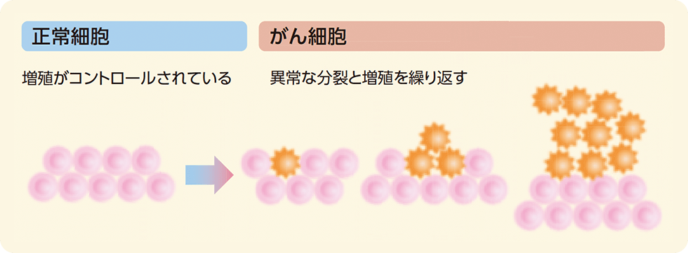 がん細胞の増殖