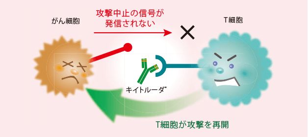 キイトルーダ®について