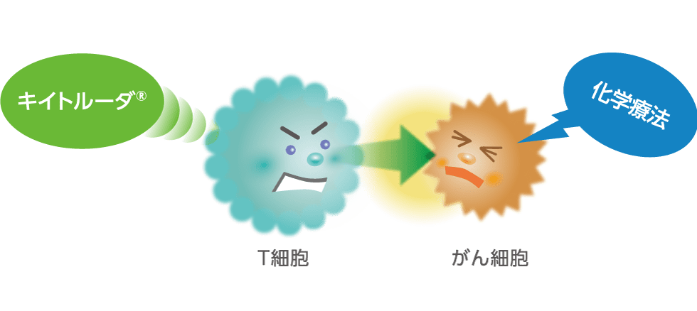 キイトルーダ®と化学療法の併用治療についてのイメージ