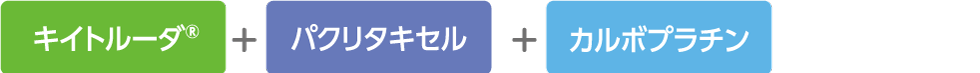 キイトルーダ®＋パクリタキセル＋カルボプラチン