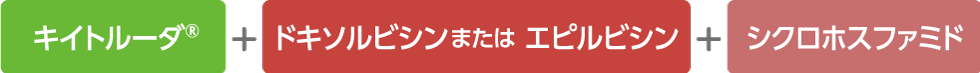 キイトルーダ®＋ドキソルビシンまたはエピルビシン＋シクロホスファミド