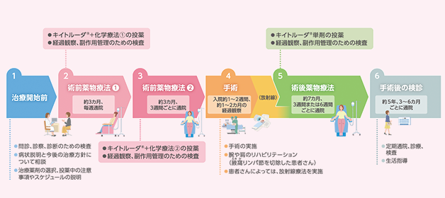 術前・術後薬物療法の投与スケジュールと点滴のタイムスケジュールページへ
