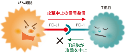がんが免疫機能にブレーキをかける仕組みのイメージ