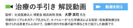 治療の手引き解説動画ページへ