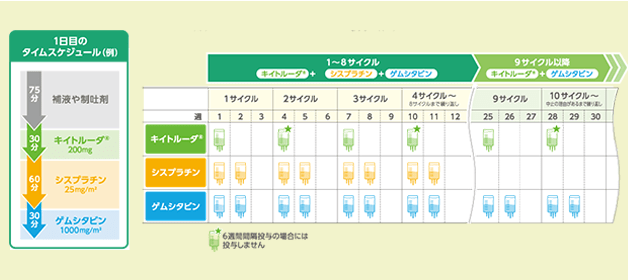 治療スケジュールのイメージ
