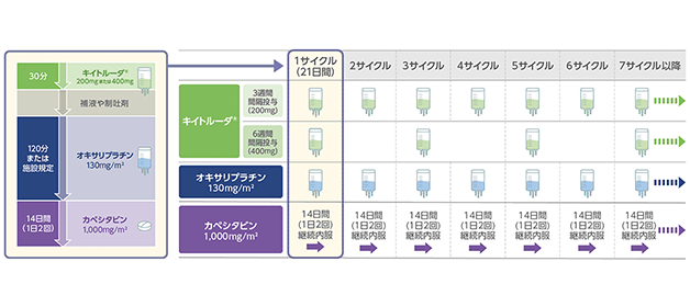 1サイクルのタイムスケジュールと治療スケジュールについて