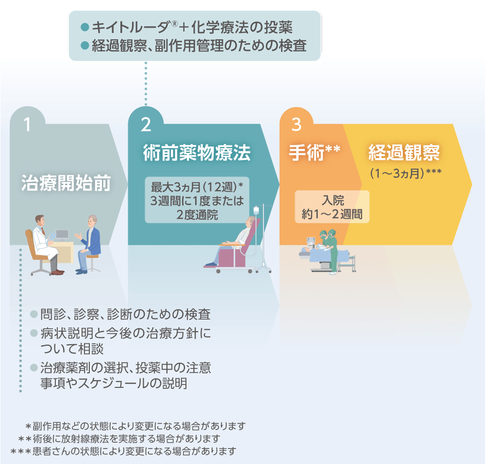 術前薬物療法の治療内容のイメージ