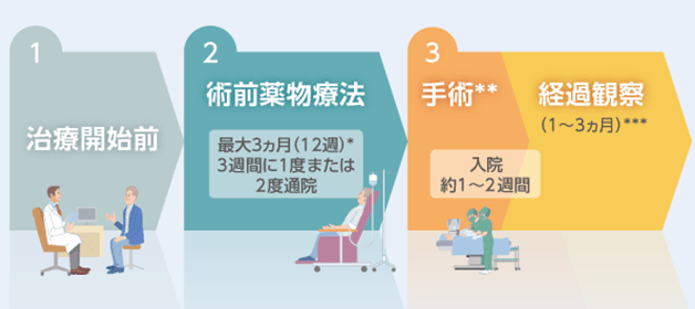 術前薬物療法について（キイトルーダ®と化学療法の併⽤治療）のイメージ
