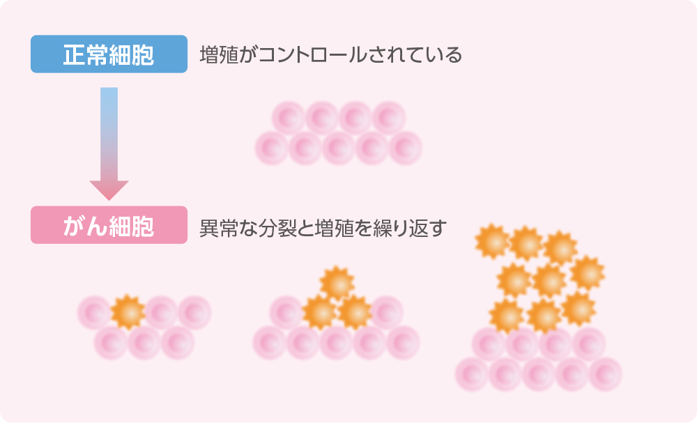 がん細胞の増殖についてのイメージ
