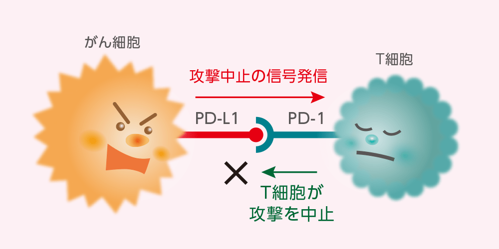 がんが免疫機能にブレーキをかける仕組みのイメージ