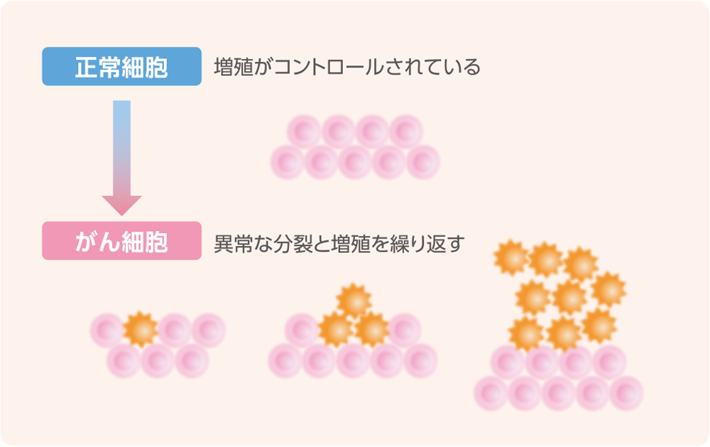 がん細胞の増殖についてのイメージ
