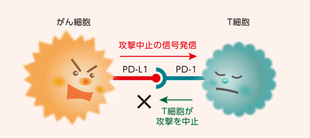 がん細胞と治療についてのイメージ