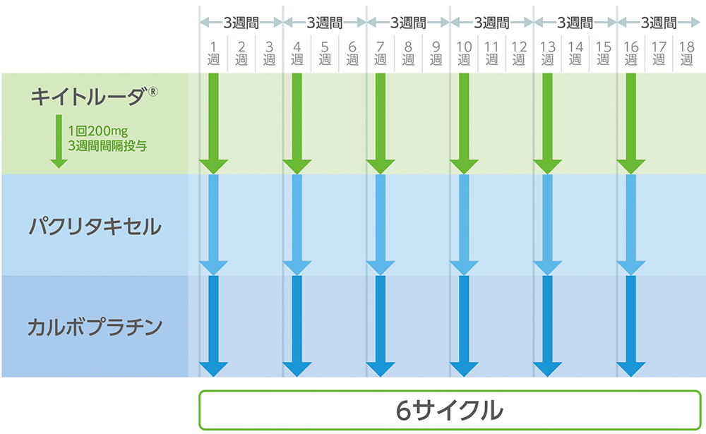 投与スケジュール例（キイトルーダ®と化学療法を併用して治療を行う期間）