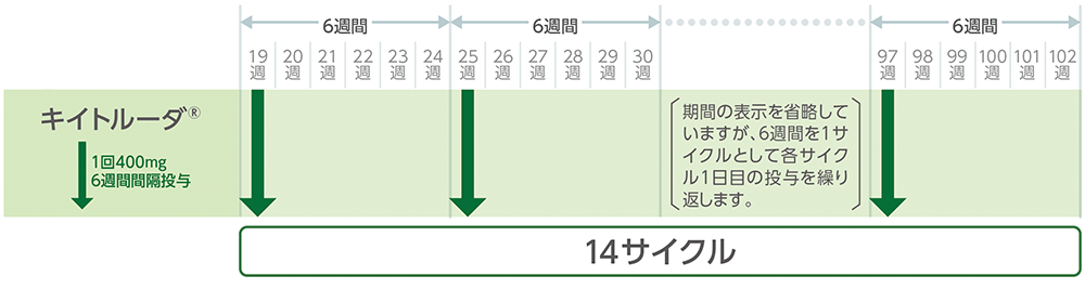 投与スケジュール例（キイトルーダ®単独で治療を行う期間）