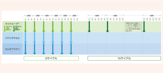 治療スケジュールのイメージ