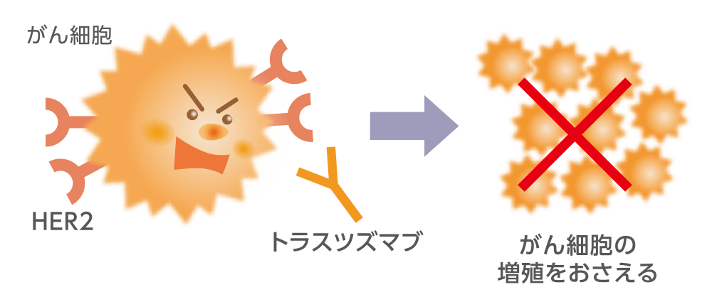 分子標的療法（分子標的薬・抗体薬物複合体）についてのイメージ