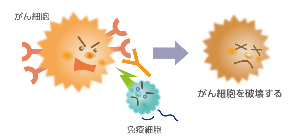 分子標的療法（分子標的薬・抗体薬物複合体）についてのイラスト