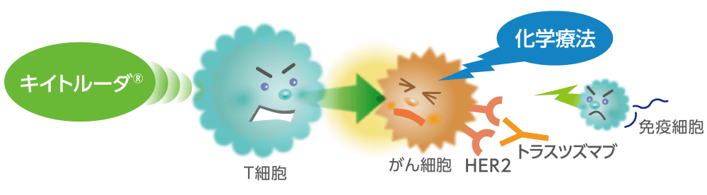 キイトルーダ®とトラスツズマブ＋化学療法の併用治療についてのイメージ