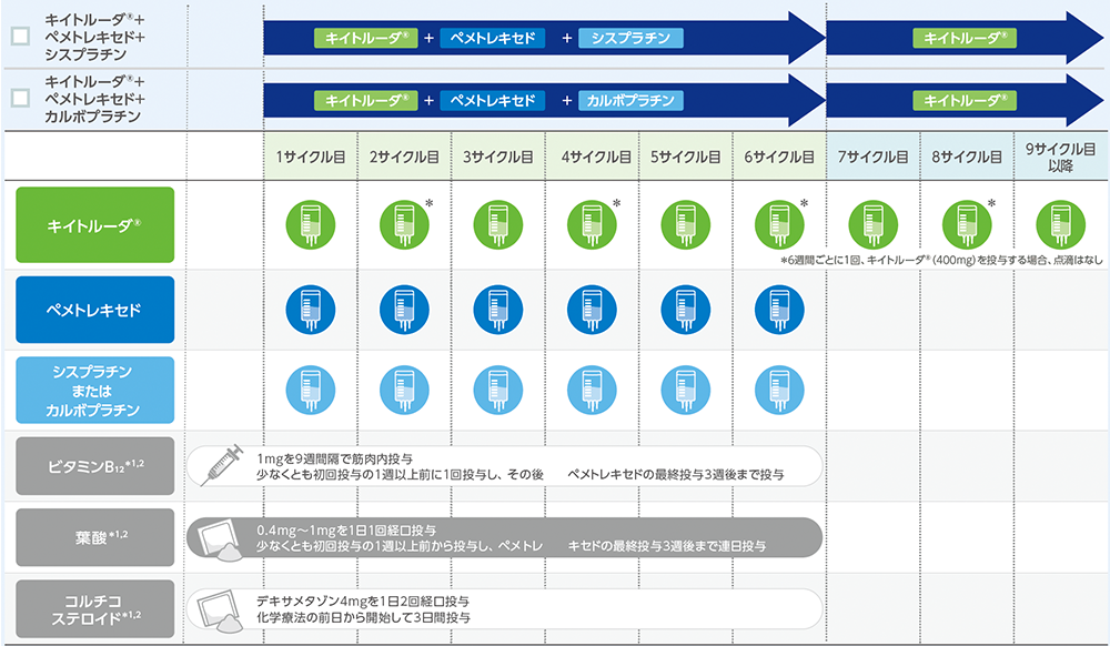 キイトルーダ®と化学療法の併用治療日誌の投与スケジュールのイメージ