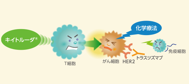 キイトルーダ®とトラスツズマブ＋化学療法の併用について