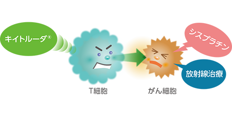 キイトルーダ®＋放射線治療に加えてシスプラチンによる治療