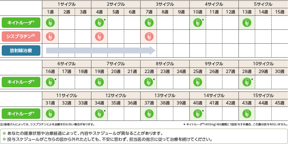 術後補助療法の投与スケジュール（例）