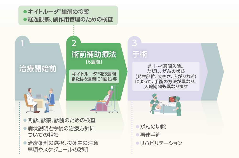 術前補助療法の治療内容