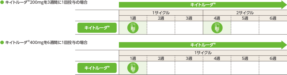 術前補助療法の投与スケジュール（例）
