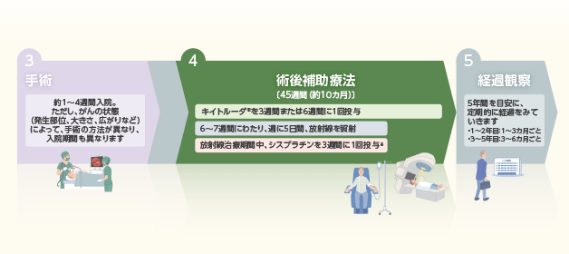 術後補助療法について（キイトルーダ®＋放射線治療＋シスプラチン）