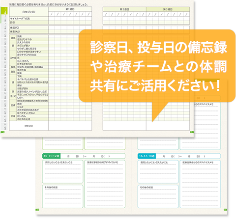 治療日誌のイメージ