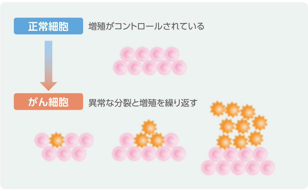 がん細胞の増殖についてのイメージ