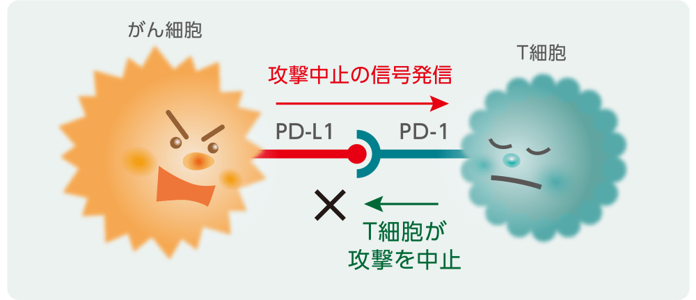 がんが免疫機能にブレーキをかける仕組みのイメージ