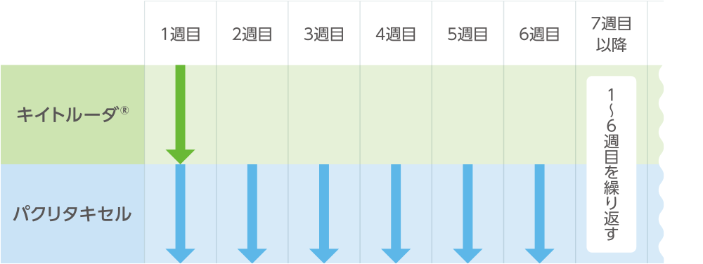 キイトルーダ®400mgを6週間間隔、パクリタキセルを1週間間隔で投与する場合のスケジュール例