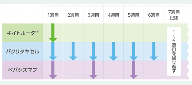 治療スケジュールと治療の注意点のイメージ